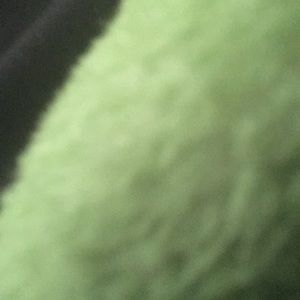 Meet your Posher, Marley